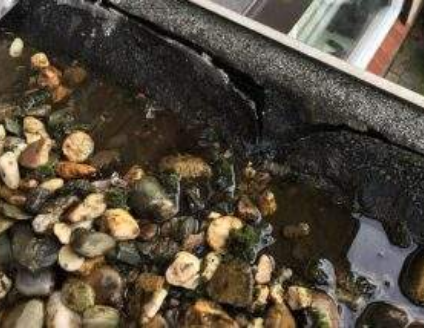 Plat dak vernieuwen dakdekker